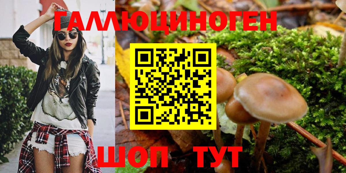 Псилоцибиновые грибы мицелий  Батайск 